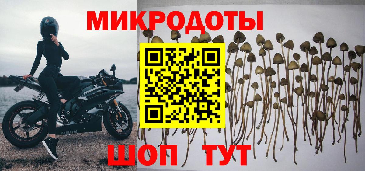 Псилоцибиновые грибы прущие грибы Ногинск