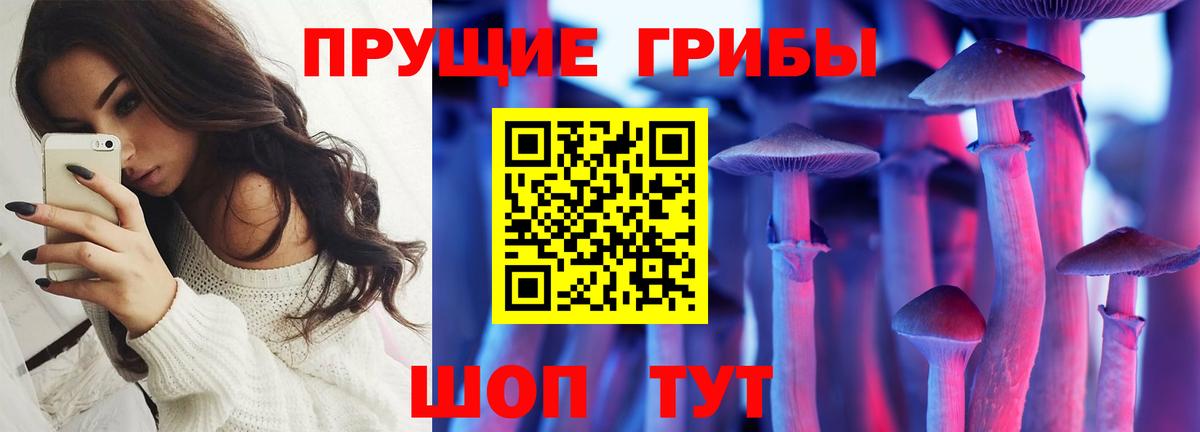 Псилоцибиновые грибы прущие грибы  Вход с VPN  Ногинск 